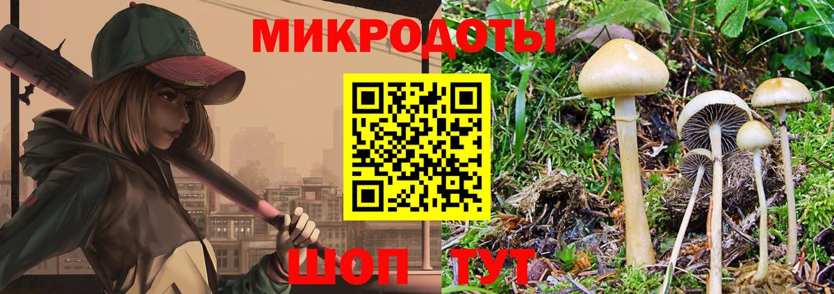 Галлюциногенные грибы Cubensis  Псилоцибиновые грибы прущие грибы  Топки  Вход с VPN 